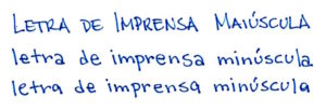 Qual a importância da força normativa dos princípios da administração pública? Qual a importância da força normativa dos princípios da administração pública?